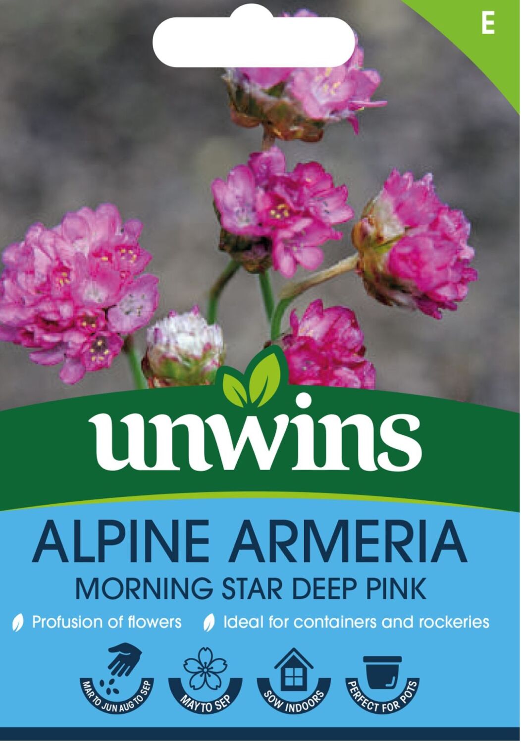 Alpine Armeria Morning Star Deep Pink