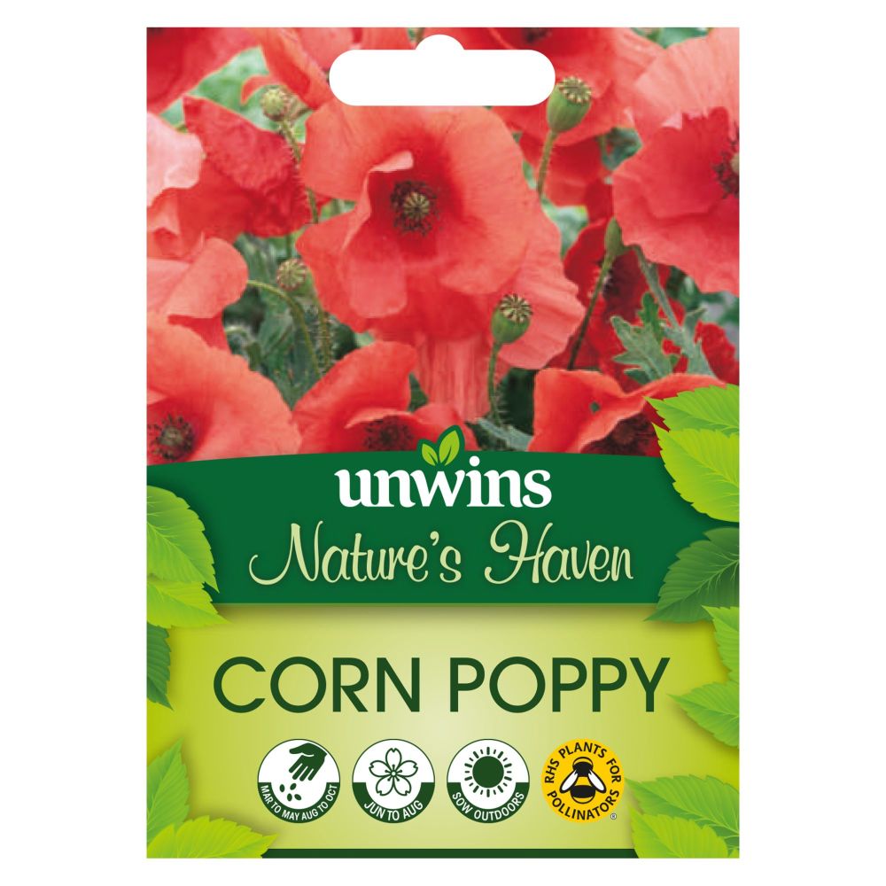 NH Wildflower Corn Poppy