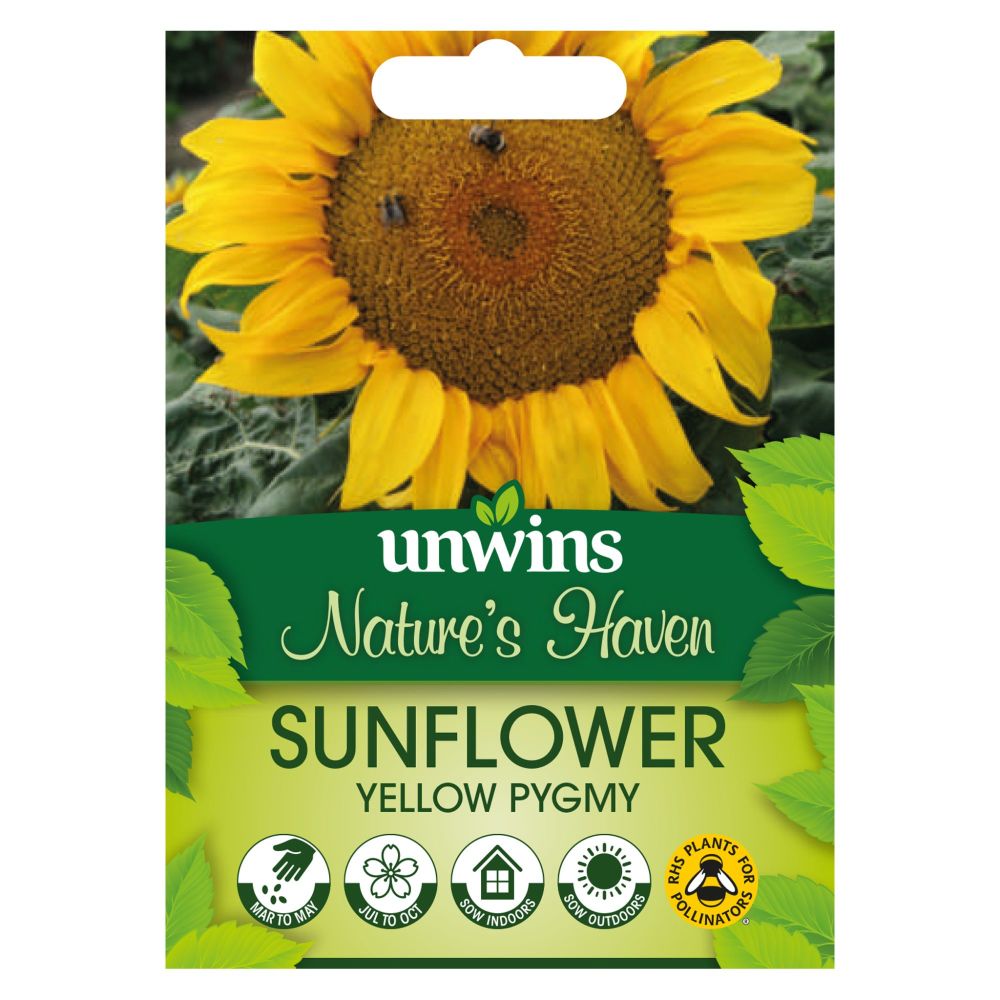 NH Sunflower Yellow Pygmy