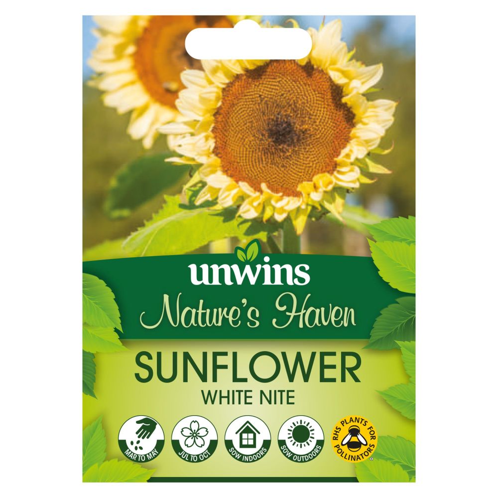 NH Sunflower White Nite
