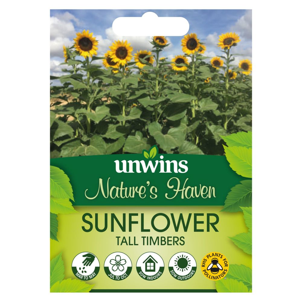 NH Sunflower Tall Timbers