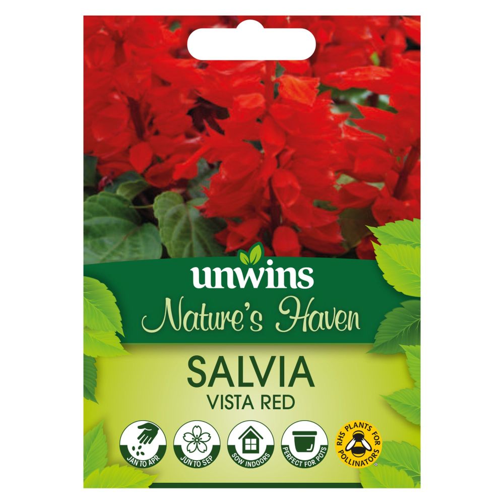NH Salvia Vista Red