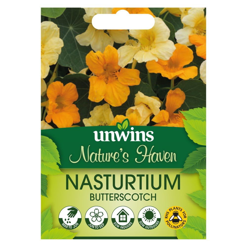 NH Nasturtium Butterscotch