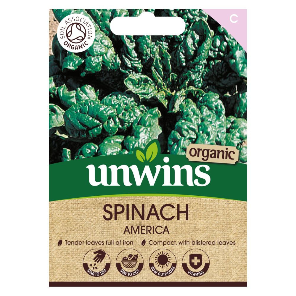 Spinach America (Organic)