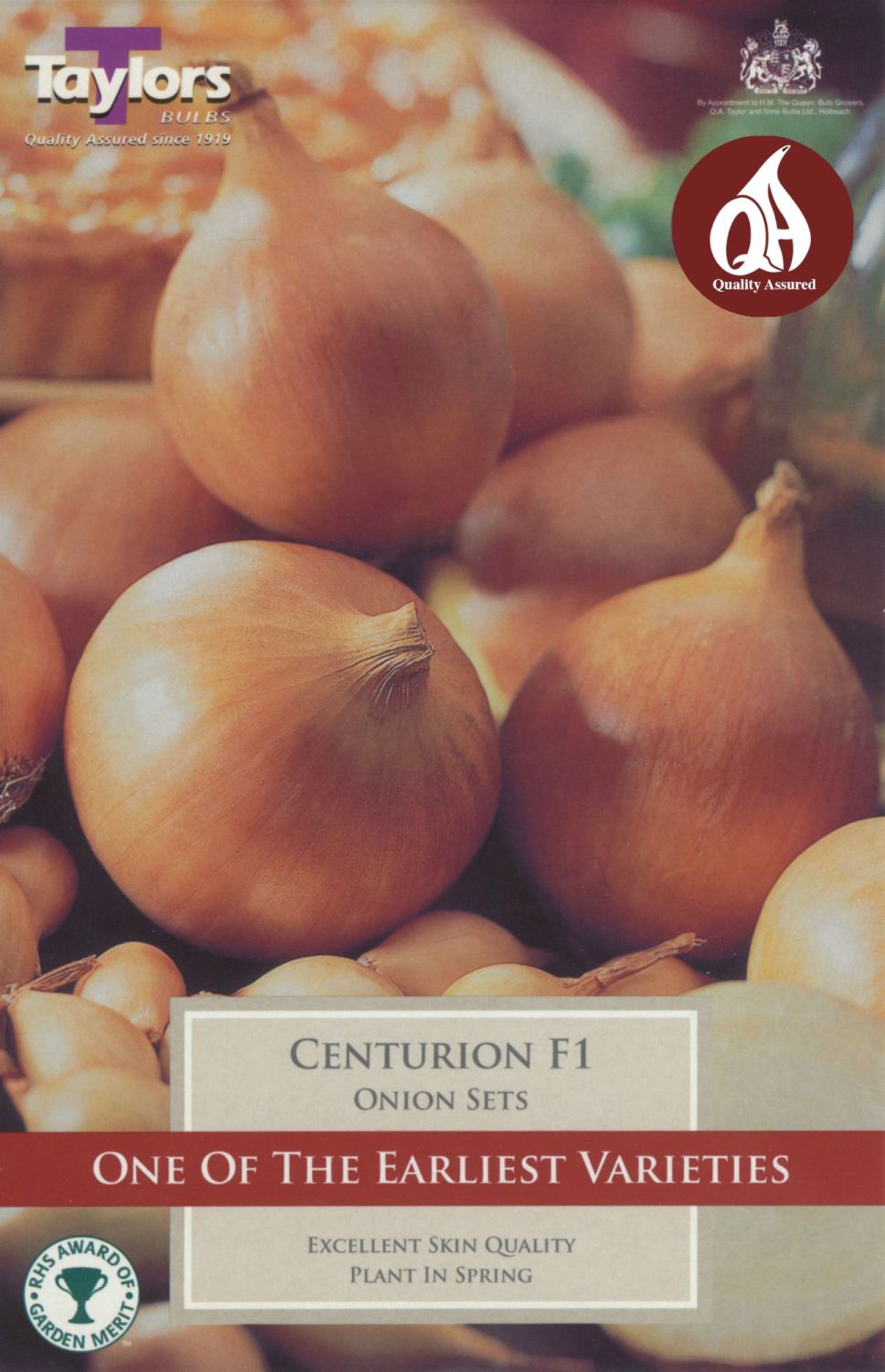 Onion Centurion 50  F1 (14-21)