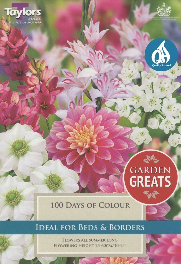 100 Days of Colour Collection - 50 Bulbs