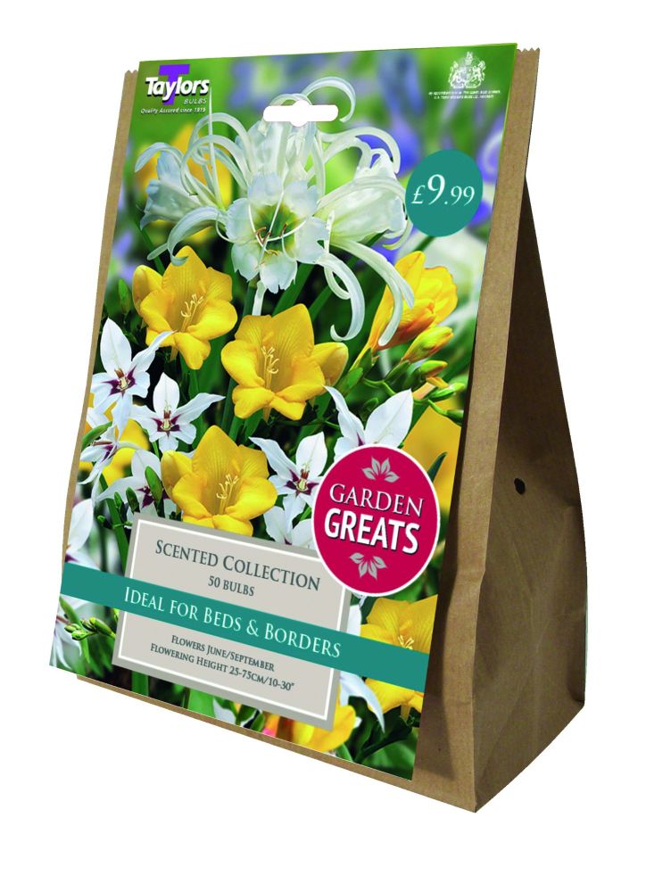 Scented Collection - 50 Bulbs