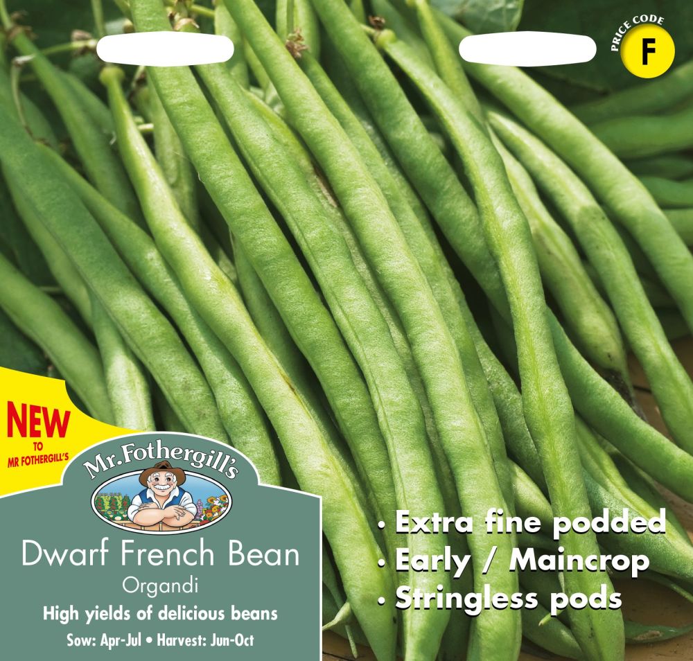 Dwarf French Bean organic