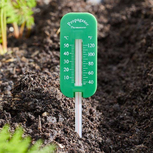 Propagatior & Soil Thermometer