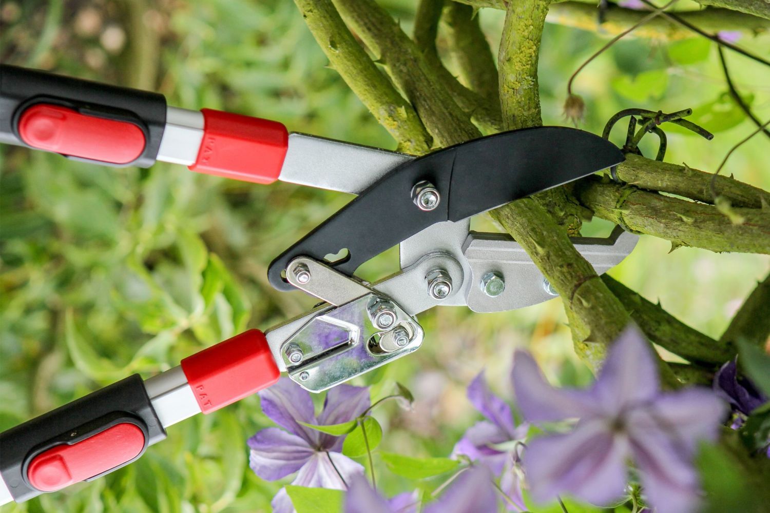 TELESCOPIC L/W RATCHET LOPPER