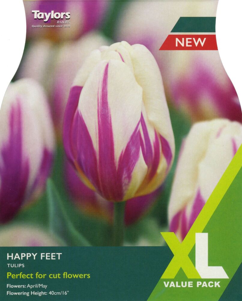 Tulip Happy Feet - 18