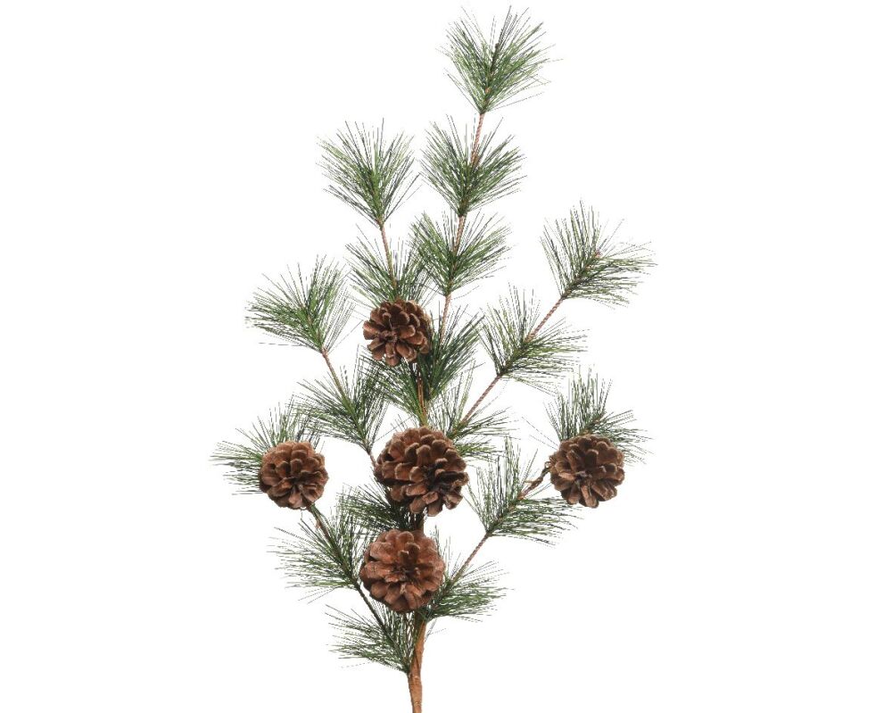 Green Branch with Pine Cones