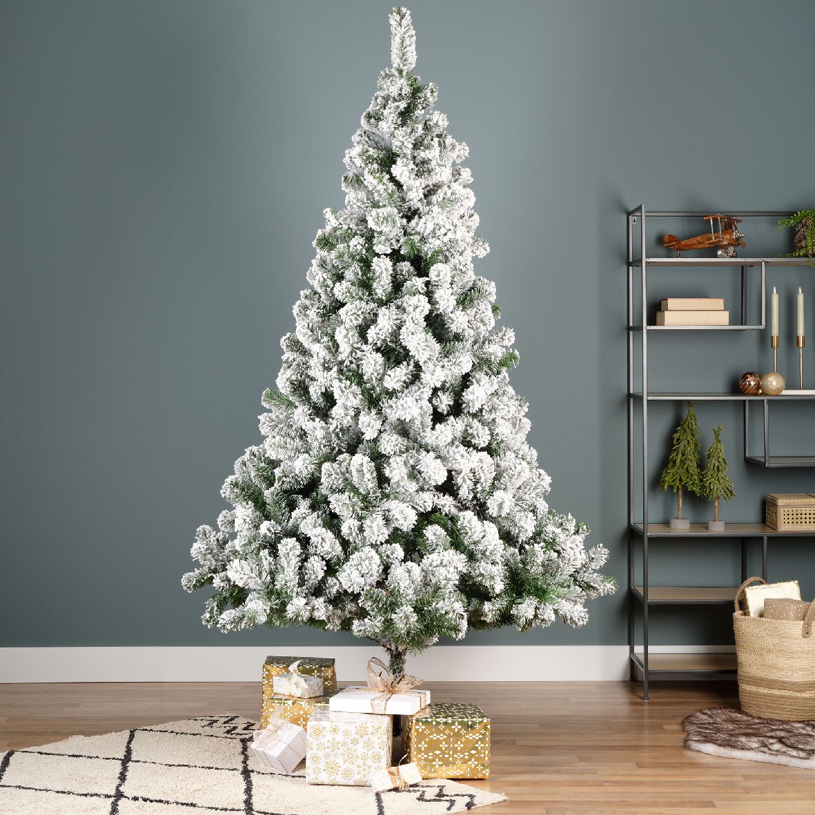 Imperial pine snowy
