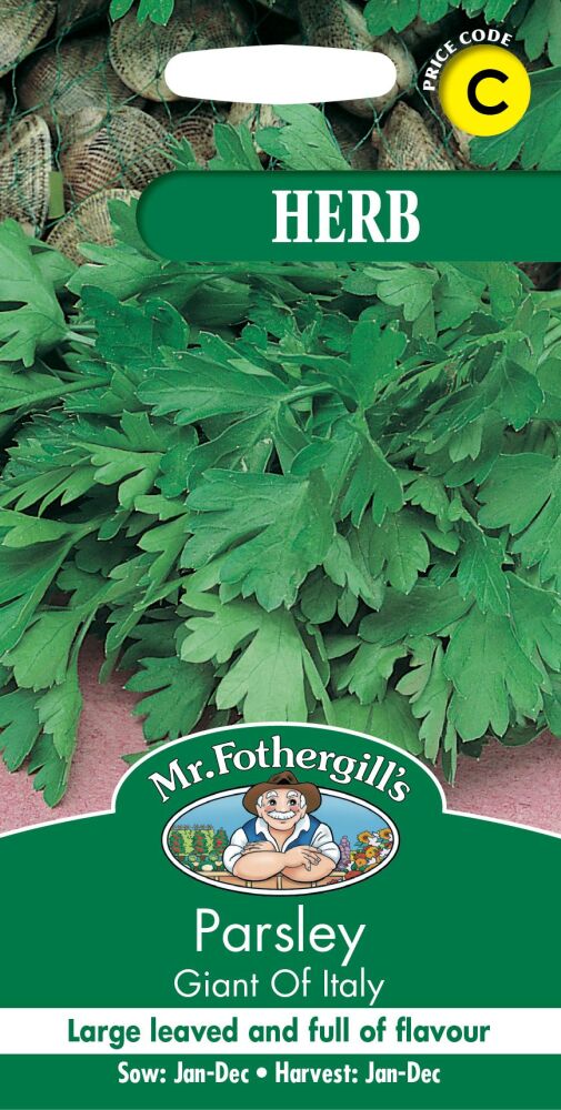 Parsley Giant of Italy