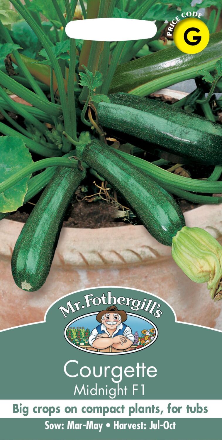 COURGETTE Midnight F1