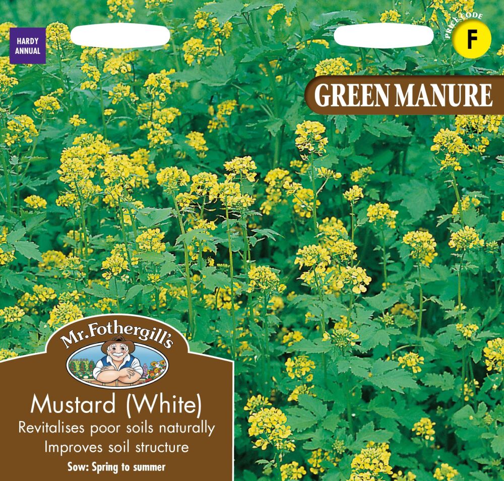 GREEN MANURE Mustard (White)