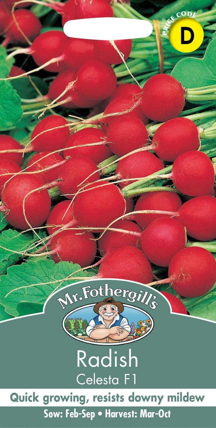 RADISH Celesta F1