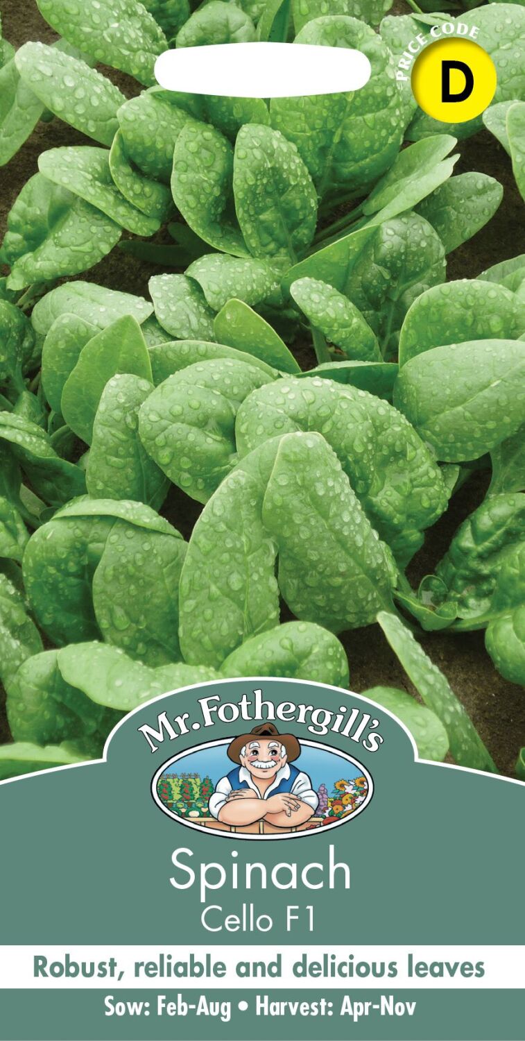 SPINACH Cello F1