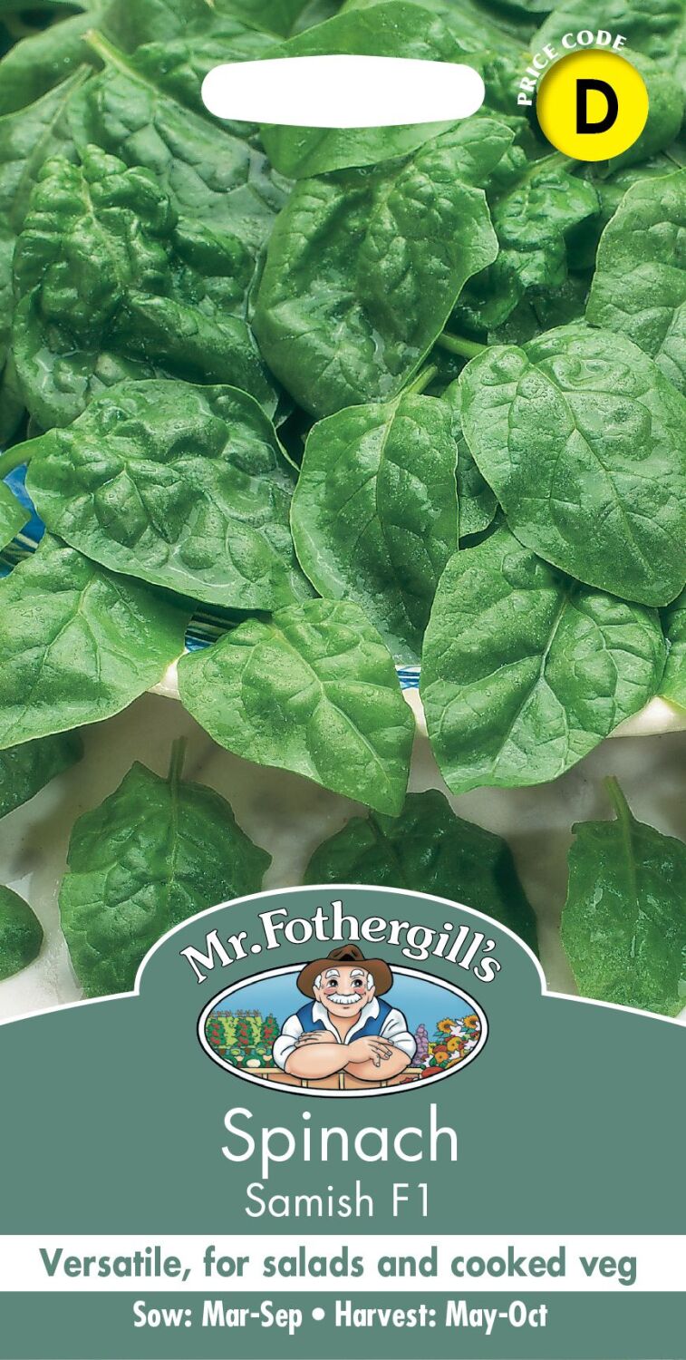 SPINACH Samish F1