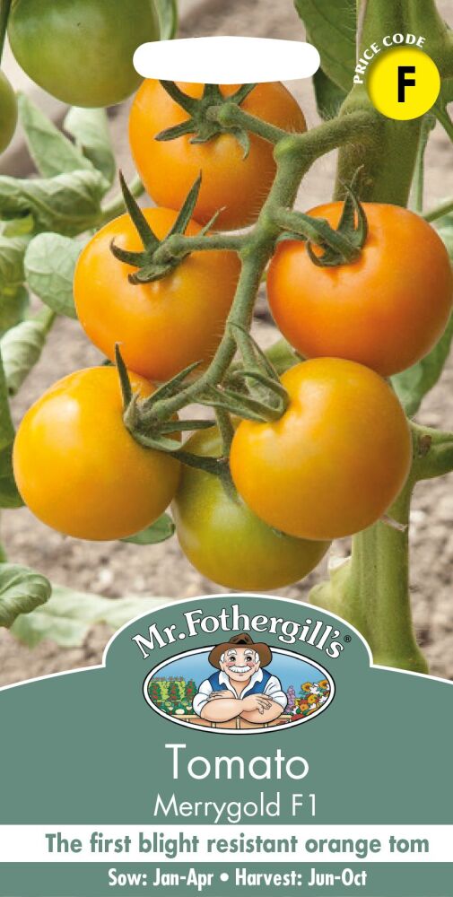 Tomato Merrygold F1