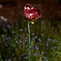 Solar Flower - Rose