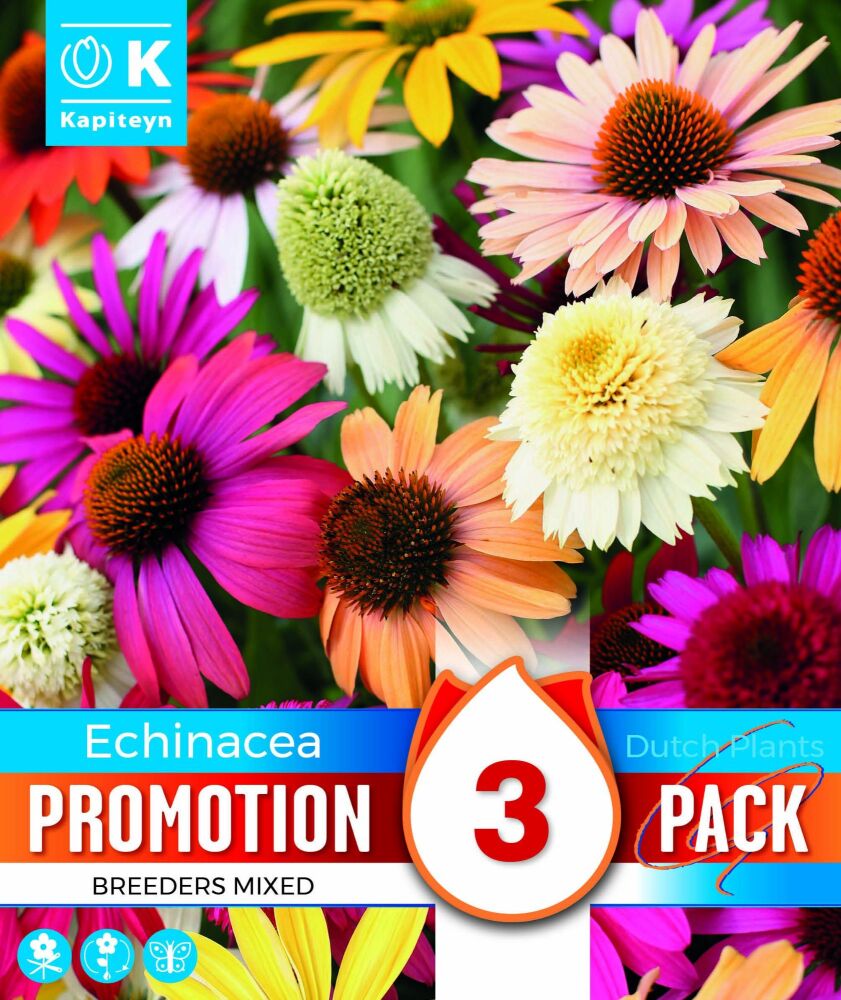 Promo Echinacea Breeders Mix - 3 Bulbs