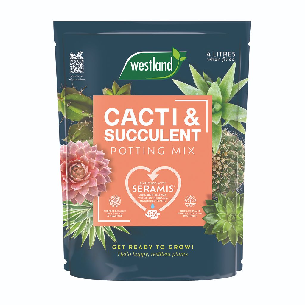 Cacti & Succulent Potting Mix - 4L