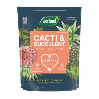 Cacti & Succulent Potting Mix - 4L