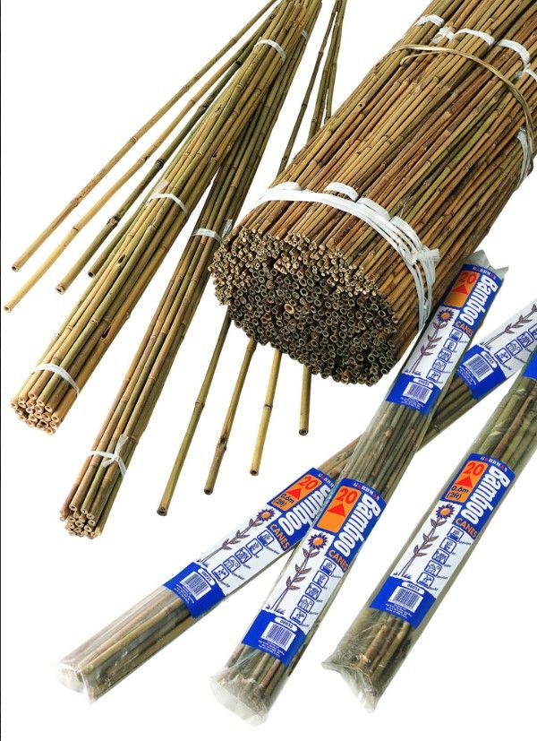 Bamboo Cane Bundle 180cm - 10pk