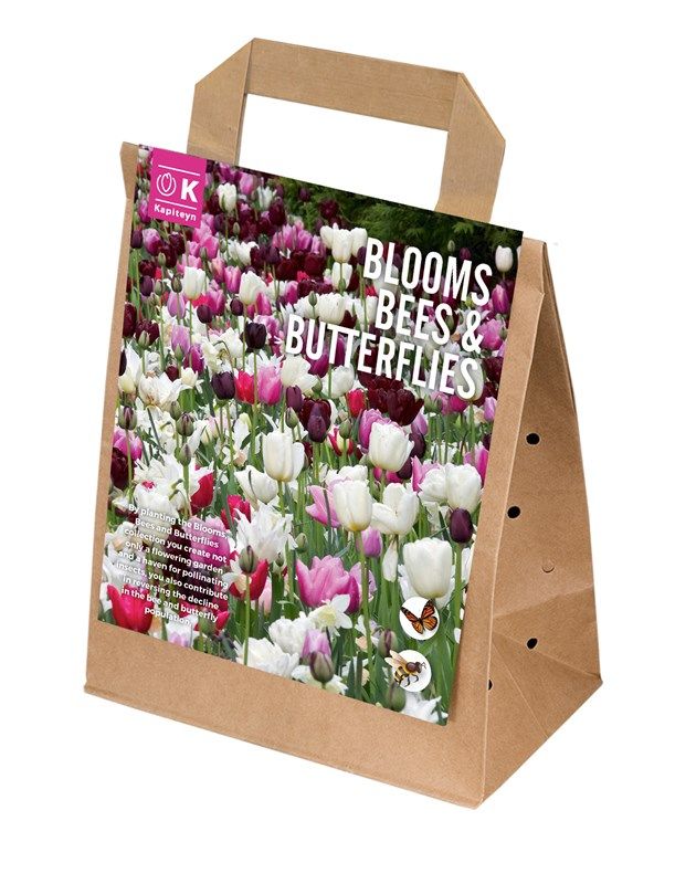 Blooms, Bees & Butterflies - Pink - 25 Bulbs
