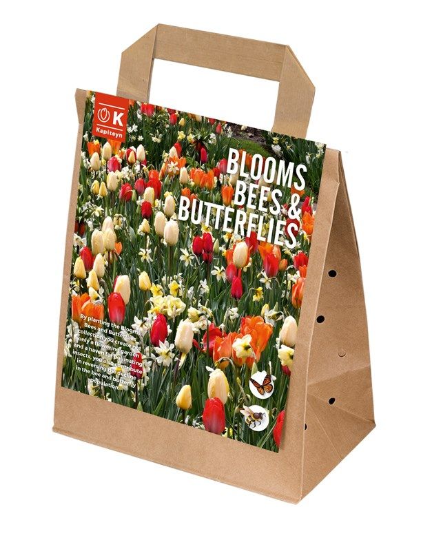 Blooms, Bees & Butterflies - Sunshine - 25 Bubls