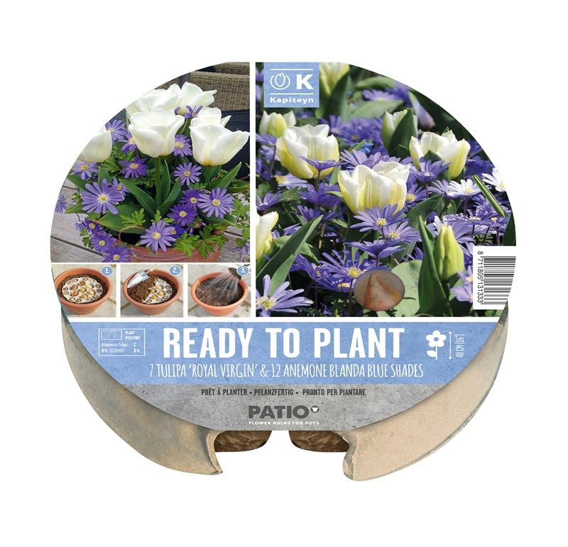 Plant-O-Mat Tray - Tulip & Anemone - 24m - 19 Bulbs