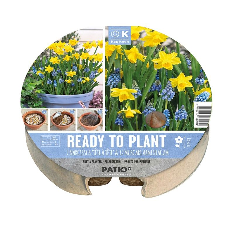 Plant-O-Mat Tray - Narcissi & Muscari  -19Bulbs