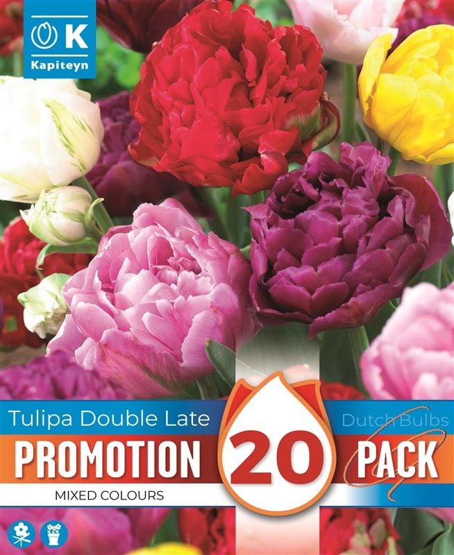 Promo tulipa Double - MIxed Colours - 20 Bulbs