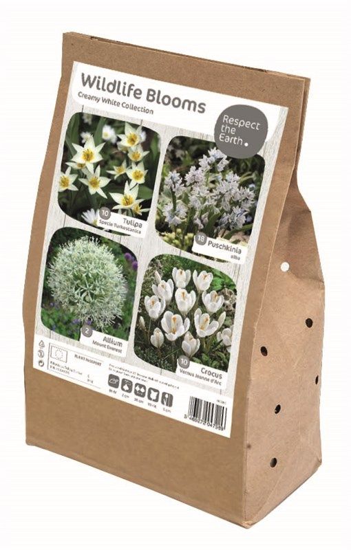 Wildlife Collection - Creamy White - 40 Bulbs