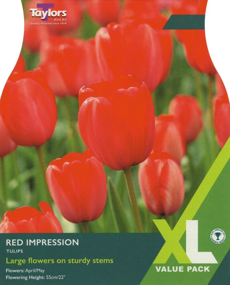 Tulip Red Impression - XL - 18 Bulbs