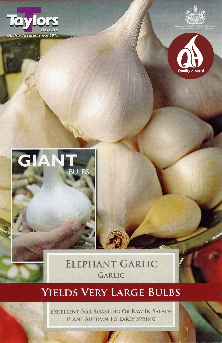 Garlic Elephant - 2 bulbs