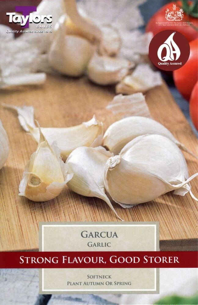 Garlic Garcua - 2 Bulbs