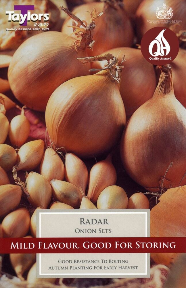 Radar Onion Set - 50 per pack