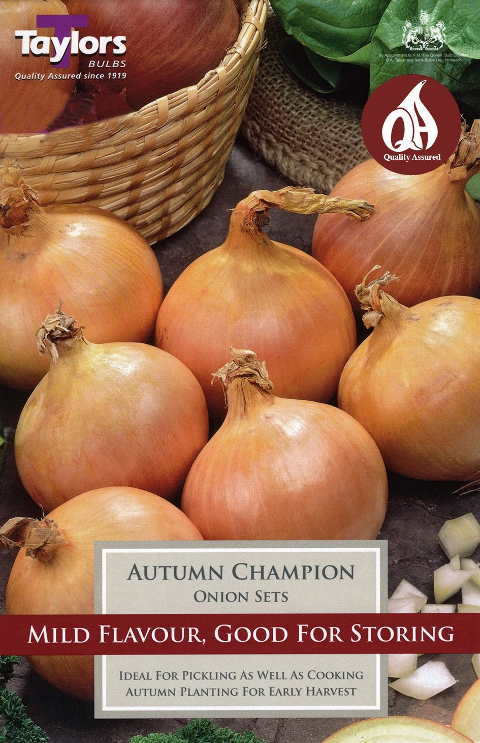 Onion Autumn Champion - pack of 50 Bulbs