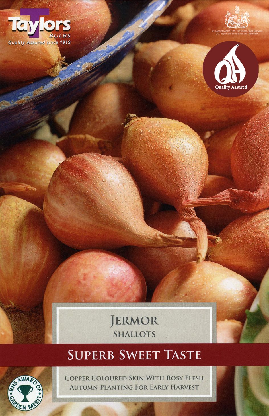 Shallot Jermor - 8 Bulbs