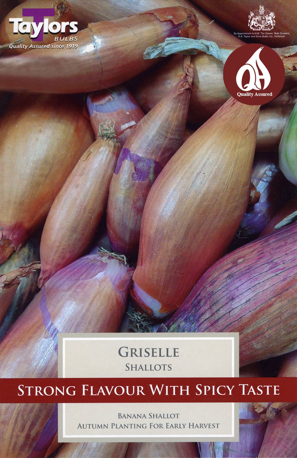 shallots Griselle - 6 Bulbs