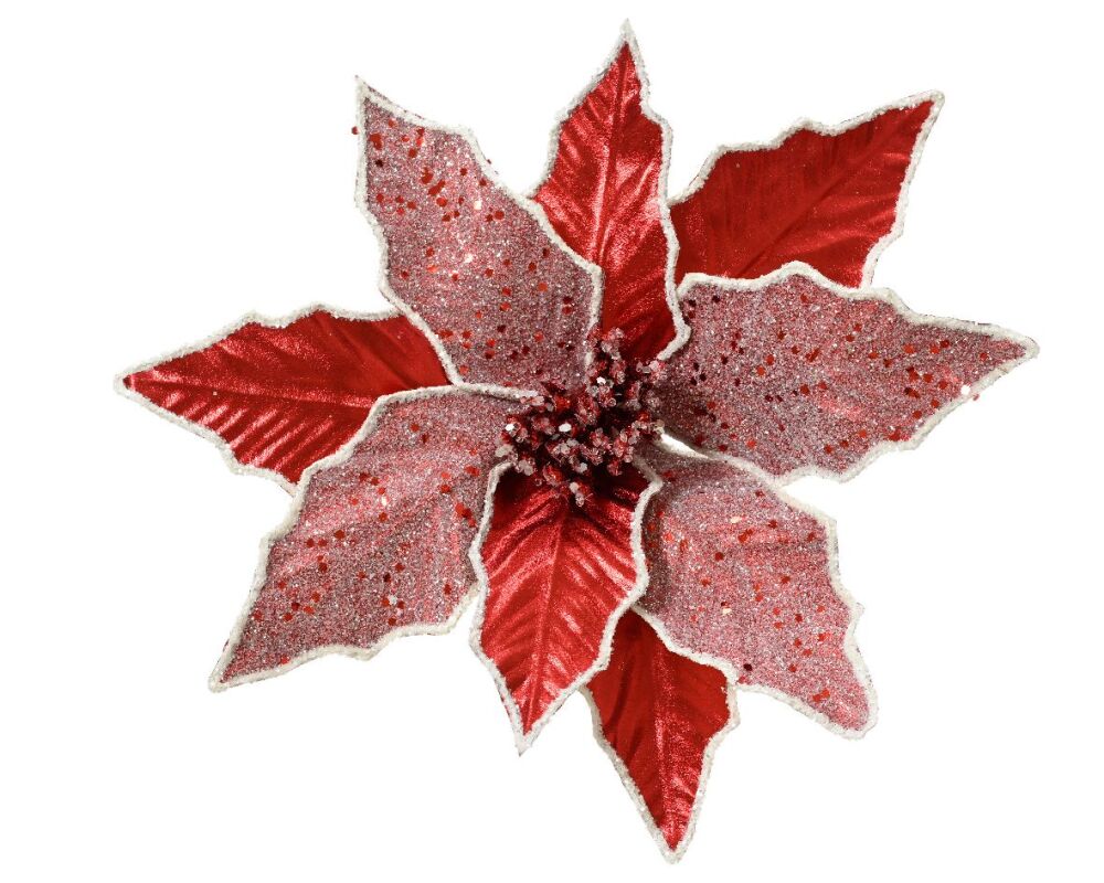 Poinsettia Red Snowy - 31cm