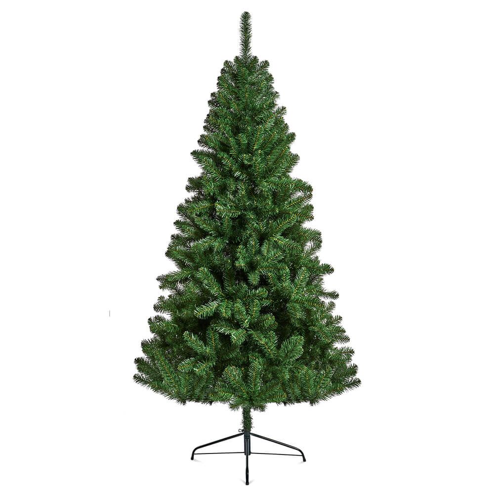 Northcote Pine Tree 7ft