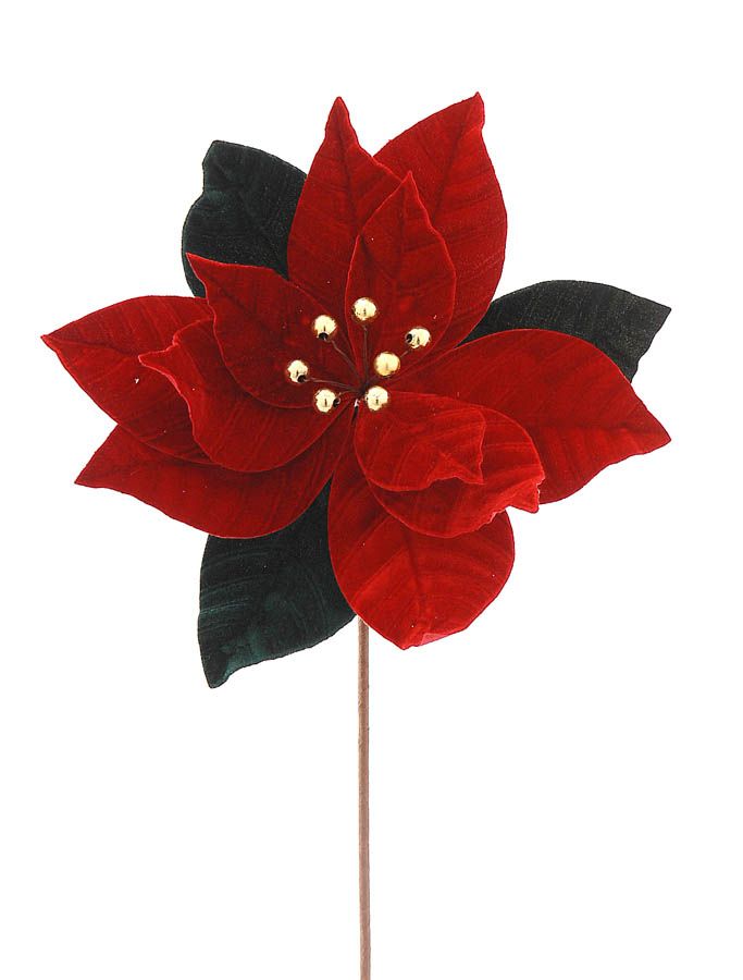 Christmas Branch - red teal poinsetia