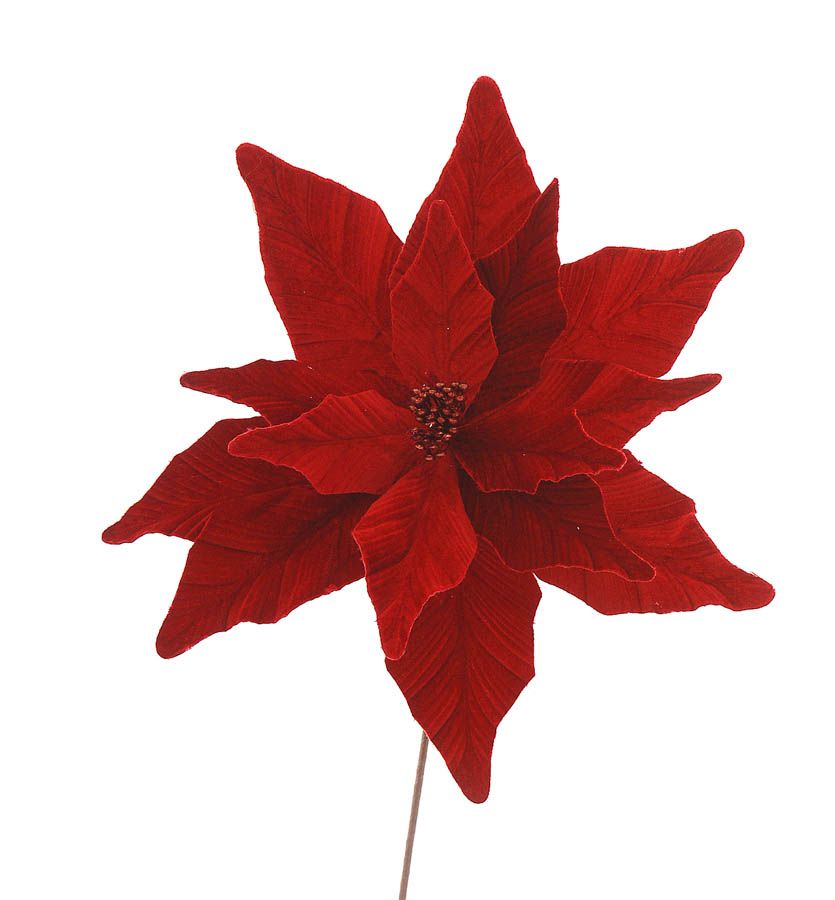 Christmas Branch - red velvet poinsetia