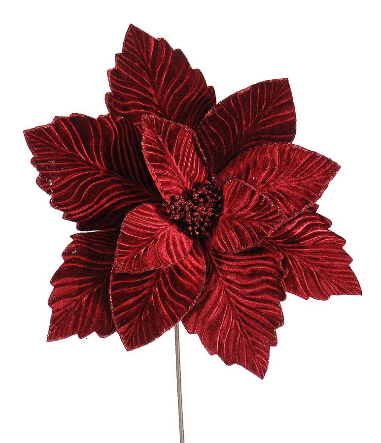 Christmas Poinsettia - Burgundy - 40x70cm