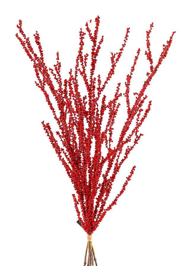 Christmas Red branches