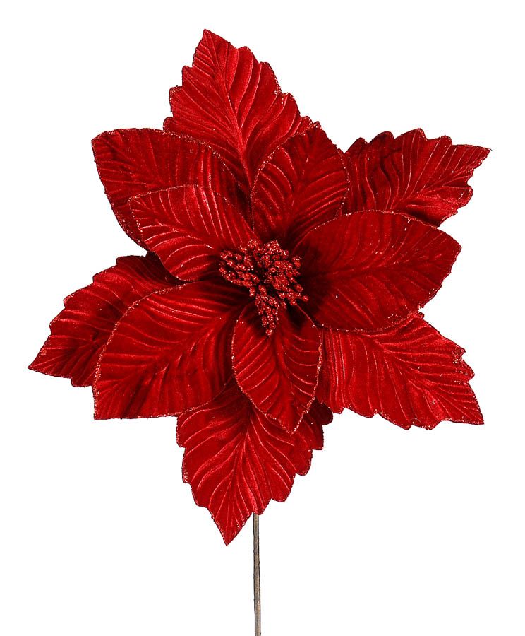 Christmas Poinsettia - Red