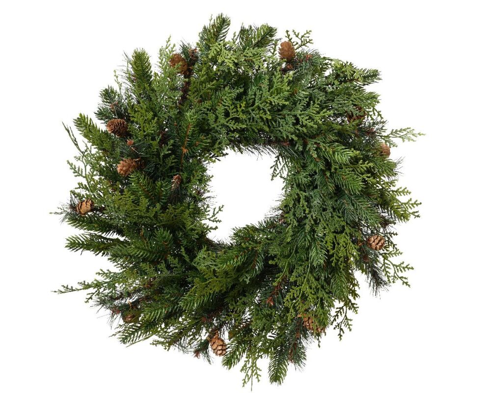 Wreath Cypress - 60cm